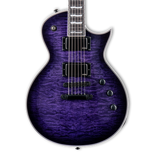 ESP LTD EC-1000 Electric Guitar - See Thru Purple Sunburst